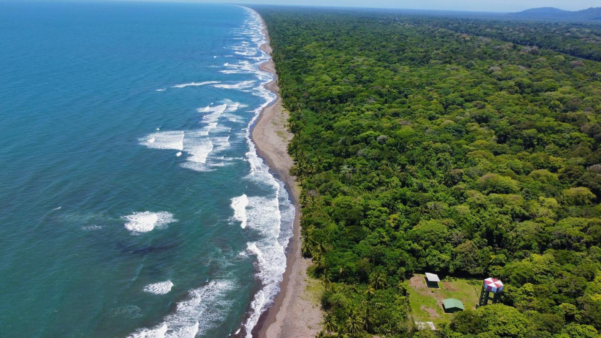 Carey Lodging Tortuguero Exterior photo