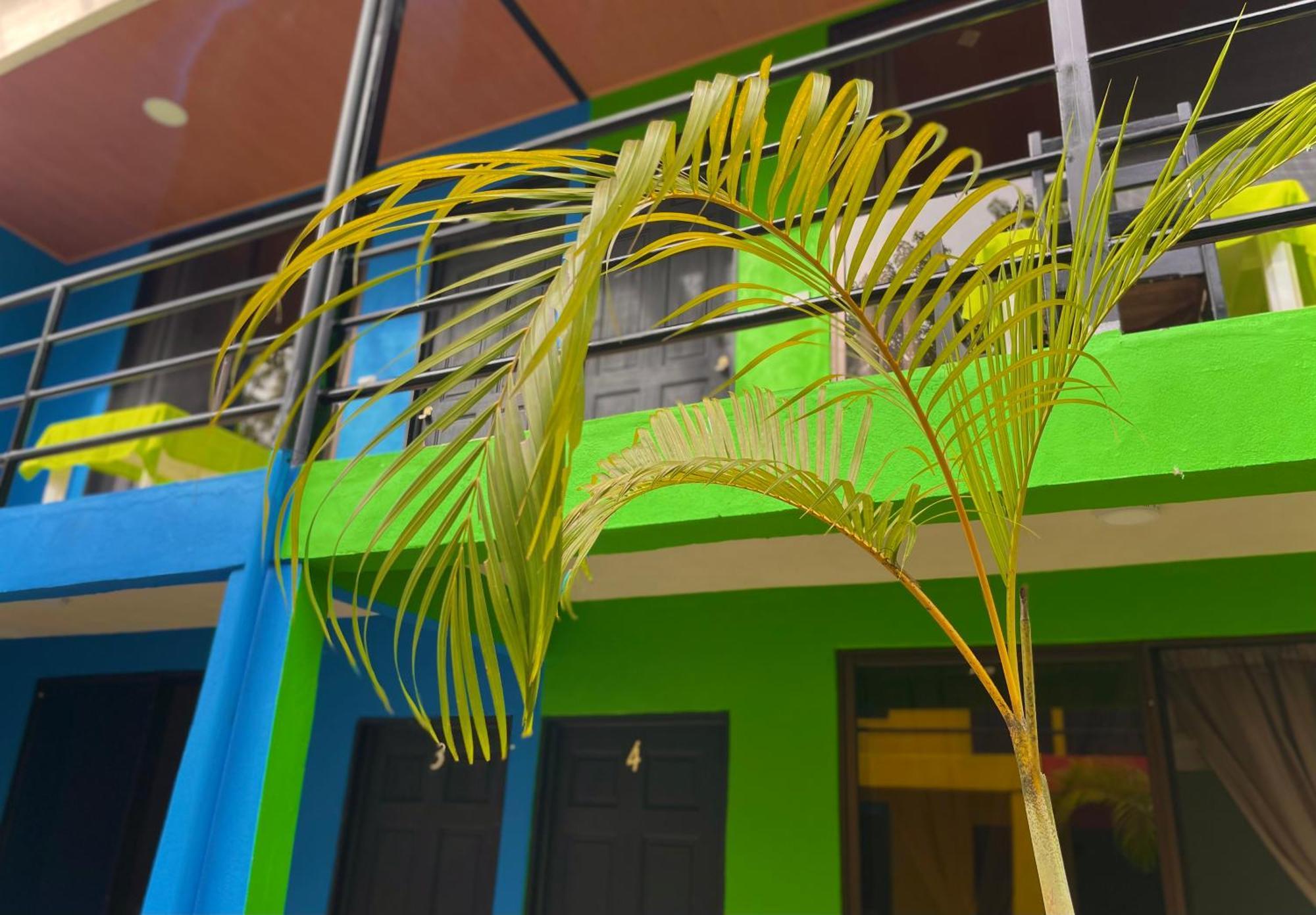 Carey Lodging Tortuguero Exterior photo