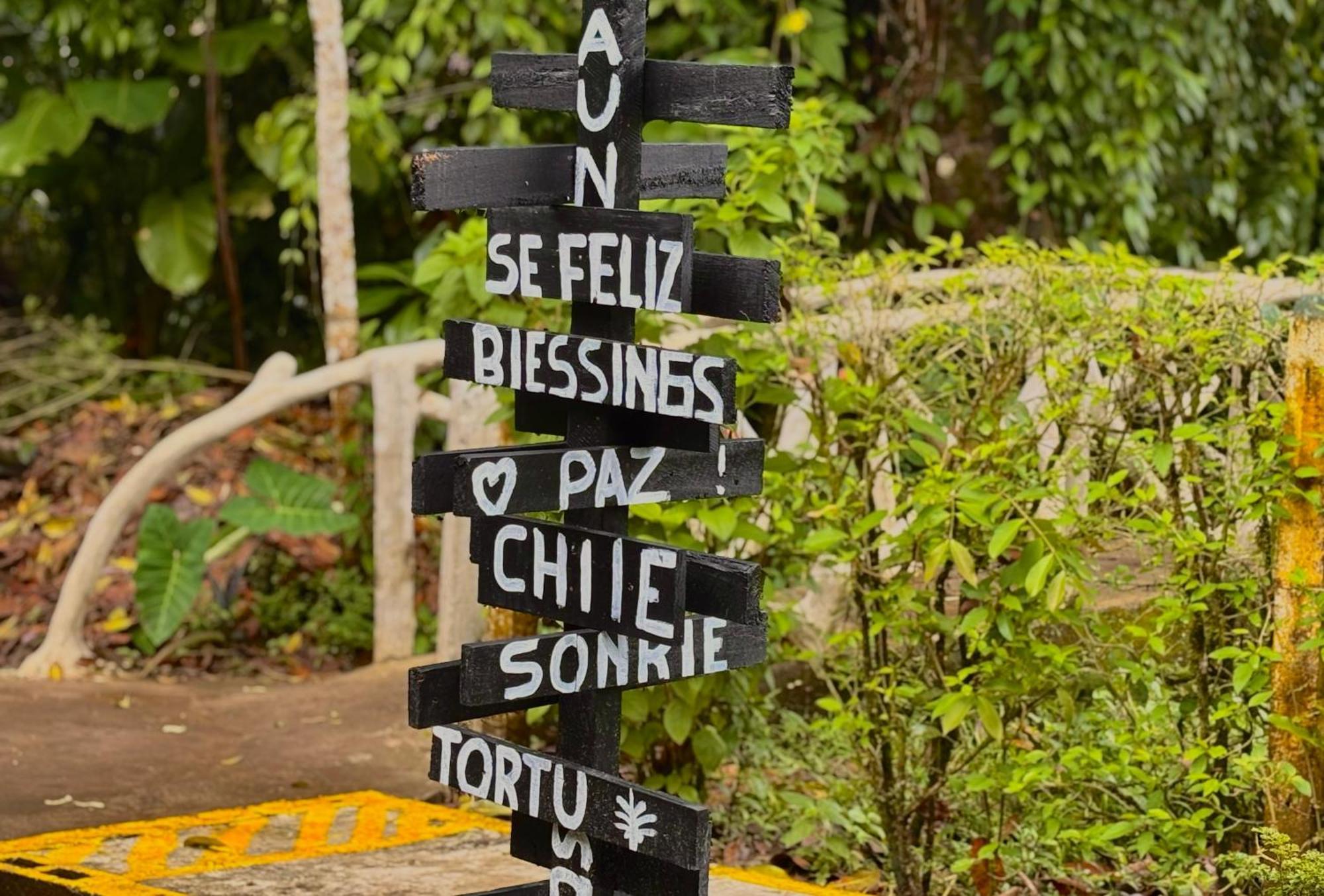 Carey Lodging Tortuguero Exterior photo
